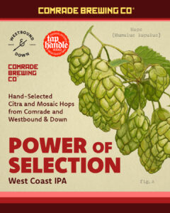 Comrade Brewing Co, Westbound & Down Brewing Company, Tap and Handle Fort Collins, CO. Hops (Humulus lupulus) Hand-Selected Citra and Mosaic Hops from Comrade and Westbound & Down. Power of Selection West Coast IPA. fig. A